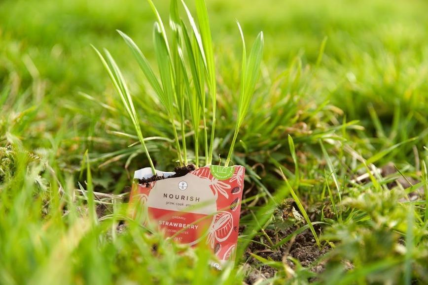 Organic Strawberry Coconut Bites